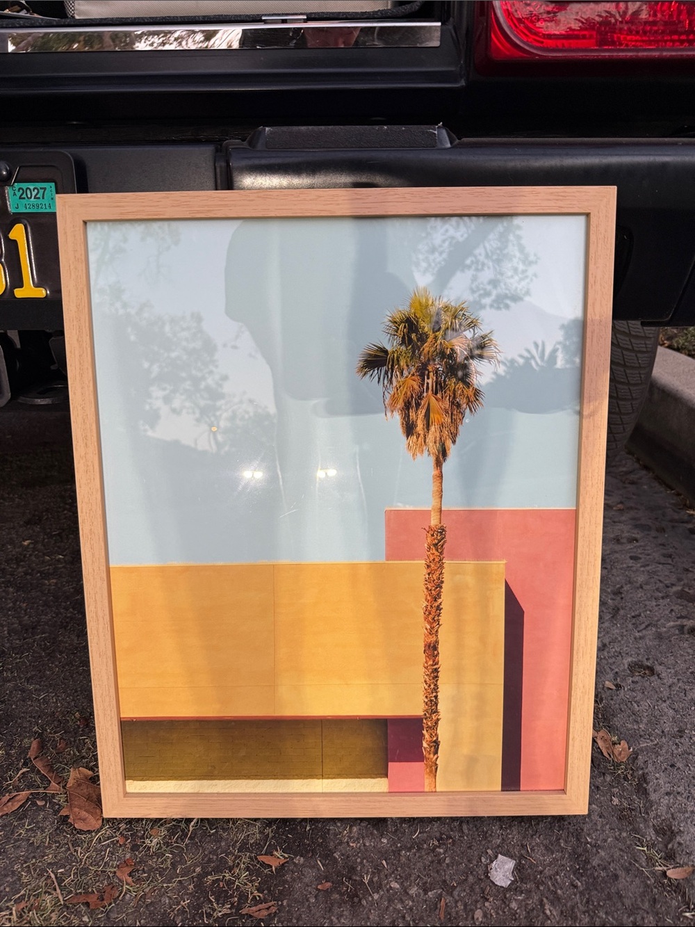 Framed Palm Tree Wall Art Print in Blue, Yellow & Pink